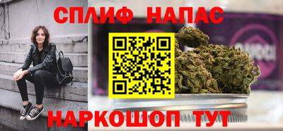шишки Будённовск