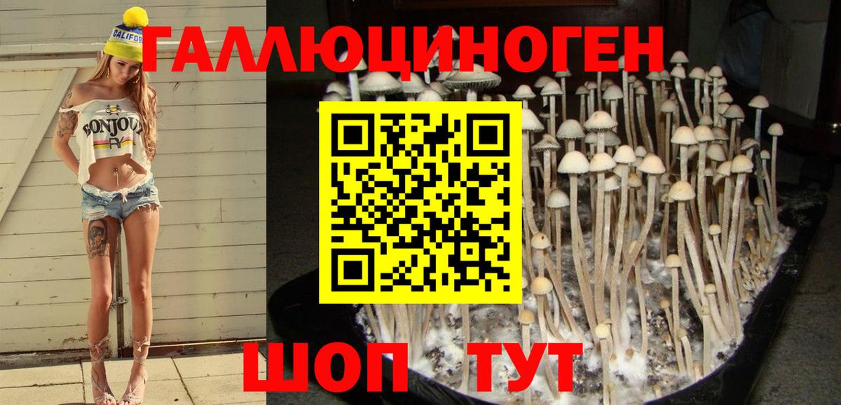 Люберцы  Галлюциногенные грибы Cubensis  закладка  Галлюциногенные грибы GOLDEN TEACHER  Вход с VPN 